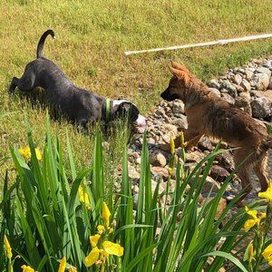 Meet your Posher, Steven